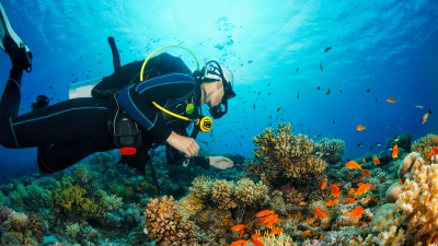 SCUBA DIVER