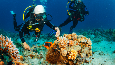 ADVANCED OPEN WATER DIVER