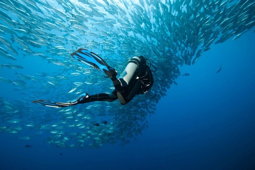 Abono 10 inmersiones (PADI Divers *)