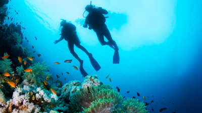 DISCOVER SCUBA DIVER